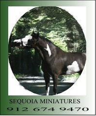 Sequoia Miniatures